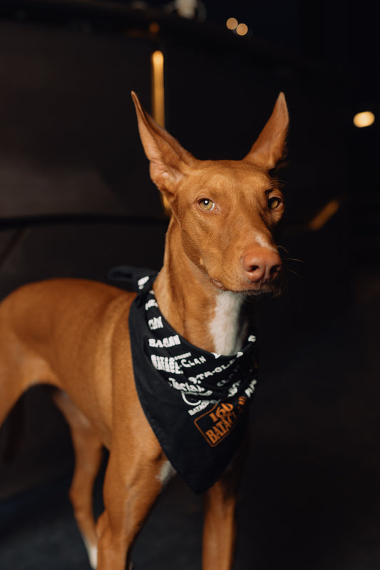 Bandana | Bataclan 160 ans